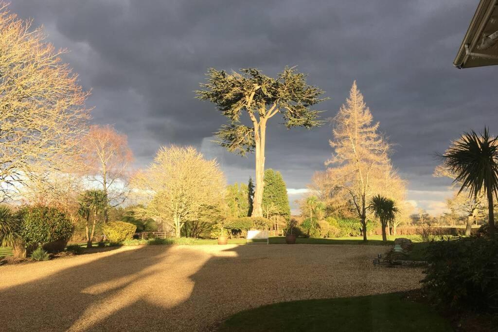 Stay On The Grounds Of This Beautiful Manor House Wimborne Minster Exterior foto